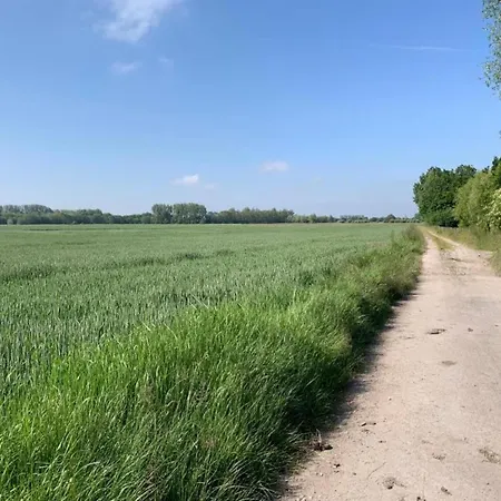 Duinenveld 3a With A Location